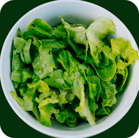 Ensalada lechuga fresca aliñada